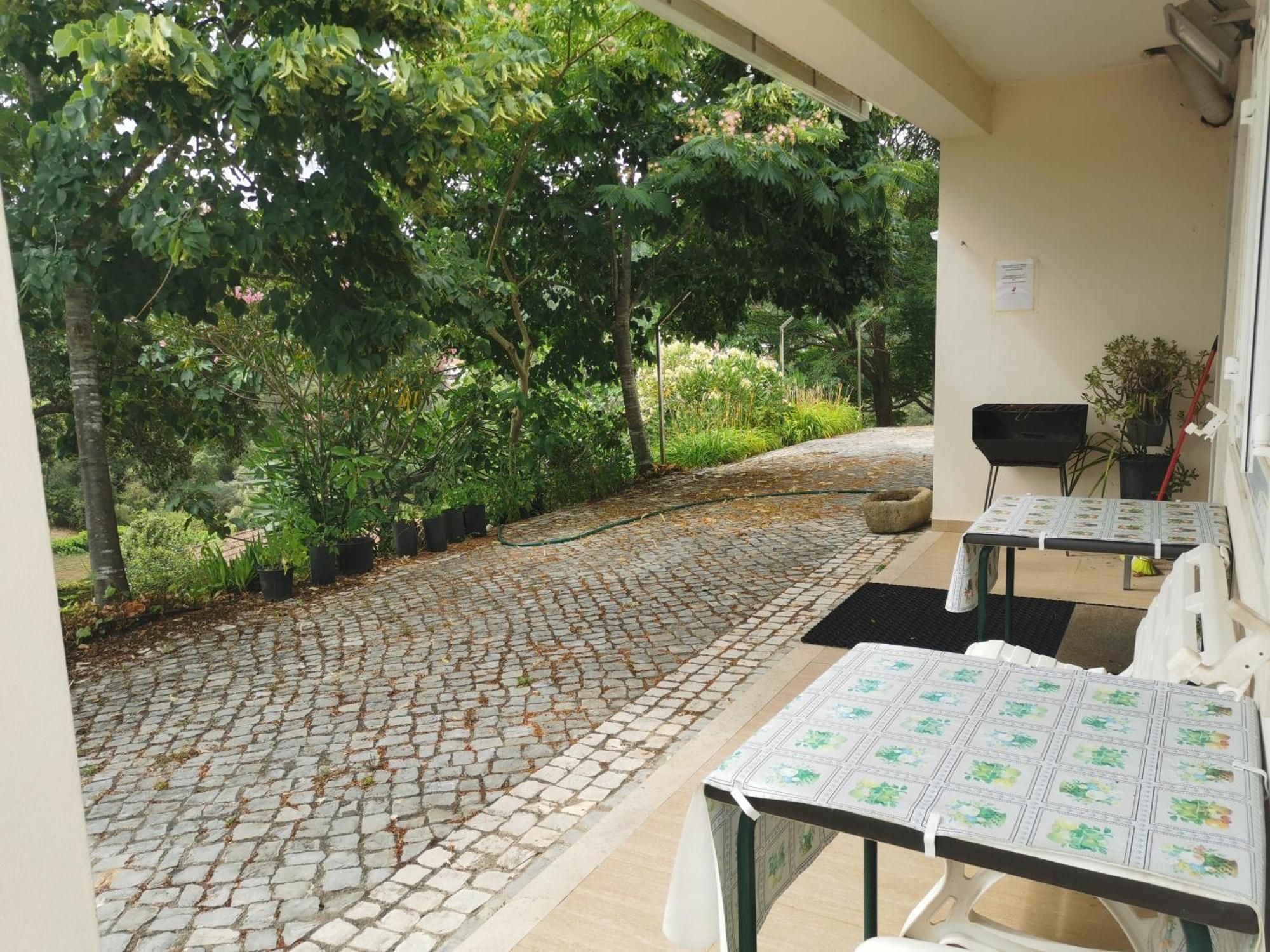 Cantinho Da Alice Family Villa Sertã Exterior photo